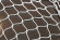 Сетка заградительная 35x35, 3мм (ПА) Сетка заградительная 35x35, 3мм (ПА)
