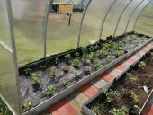 Агротекстиль Agrojutex 100г/м2 - 4.20x100м