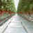 Агротекстиль Agrojutex белый 100г/м2 - 1х100м